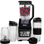 Best Ninja Nutri Blenders for Whole Fruits